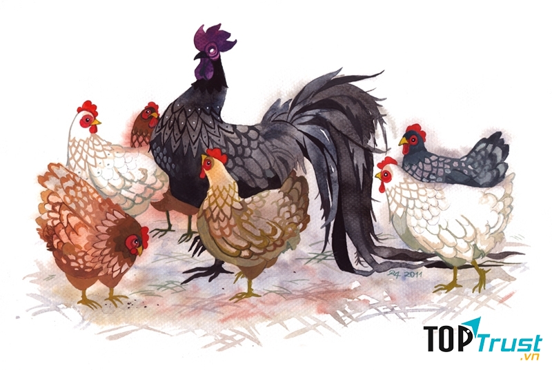 Tuổi Dậu thận trọng cẩn thận