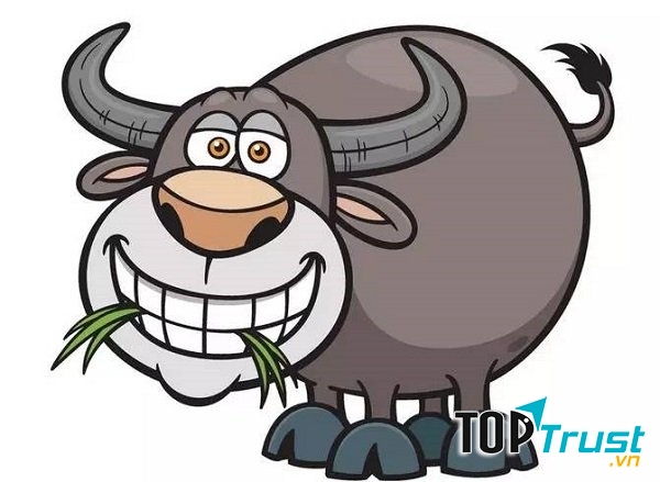 Tuổi Sửu đảm đang, thủy chung hết lòng