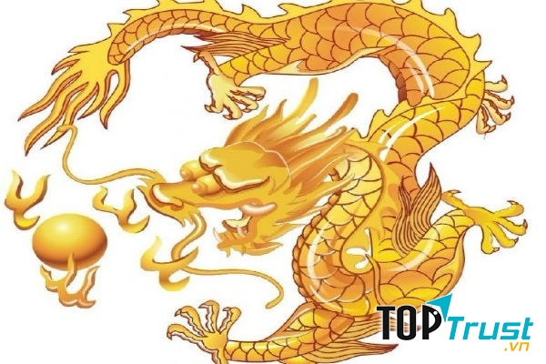 Tuổi Thìn biểu tượng cho sự rắn giỏi cương quyết