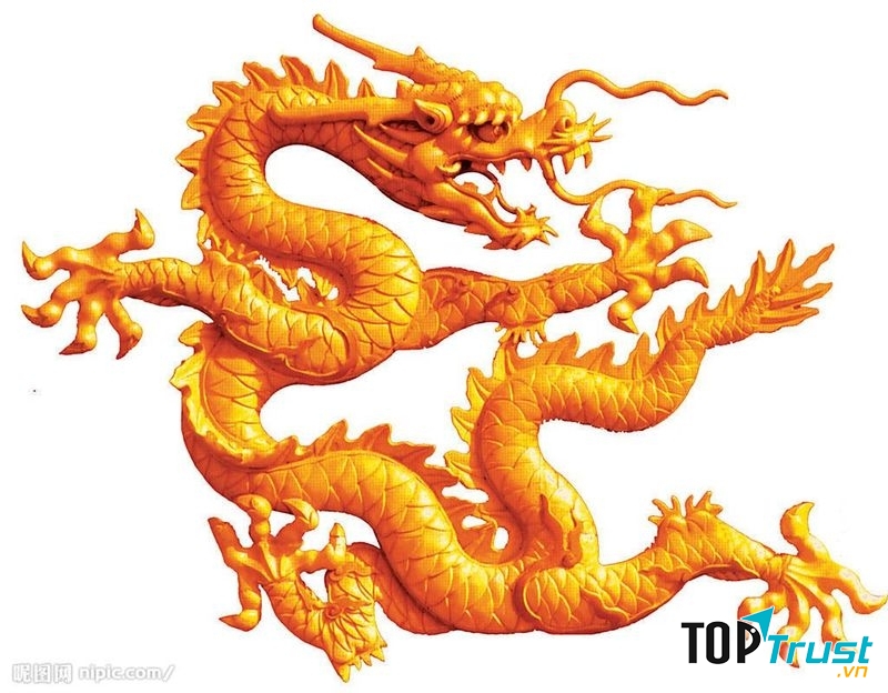 Tuổi Thìn nhạy bén hay giúp đỡ người khác