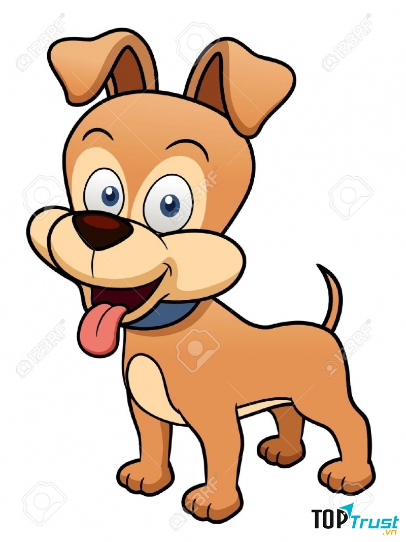 Tuổi Tuất nhanh nhạy tháo vát