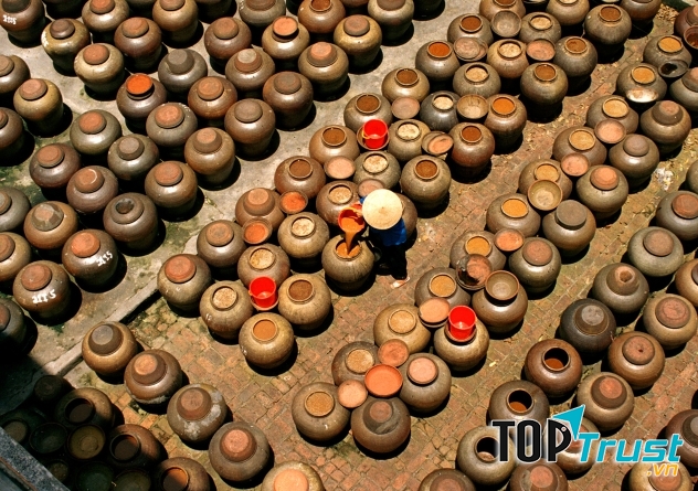 Tương Đình Đỗ