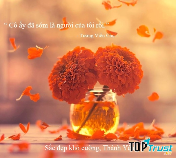 Tưởng Viễn Chu - Sắc đẹp khó cưỡng, Thánh Yêu