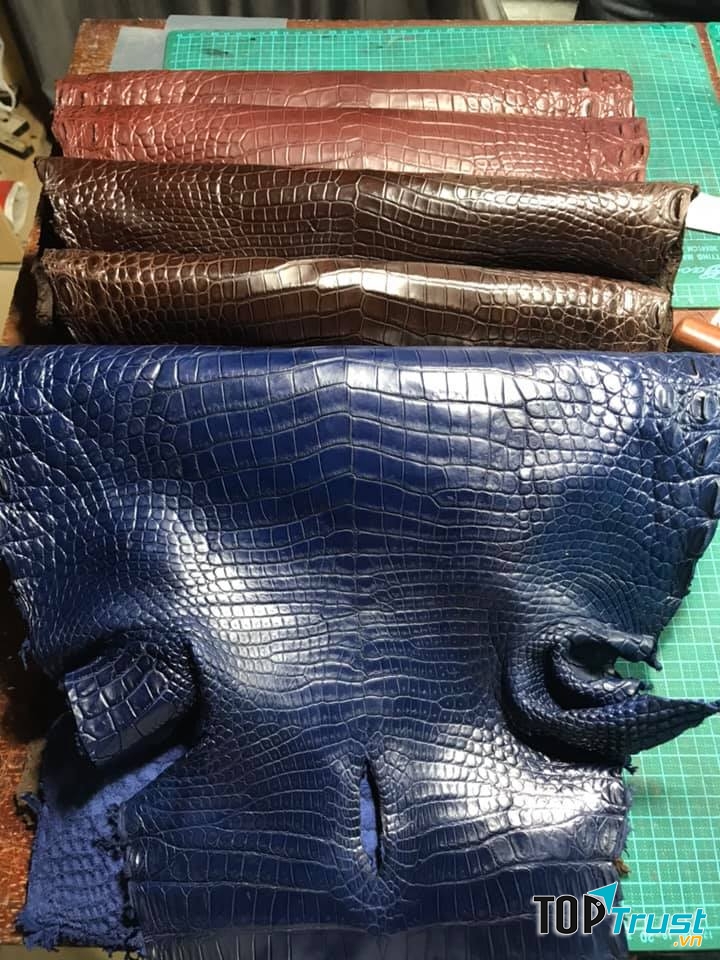 Da cá sấu nguyên tấm tại Turtle House