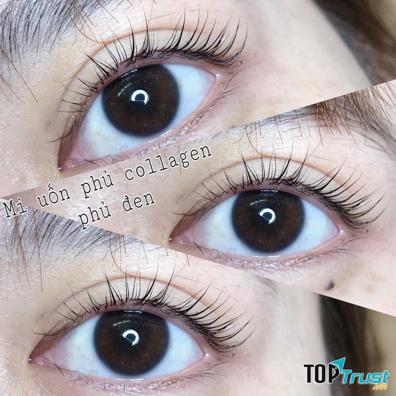 Tuyet Beauty Lashes
