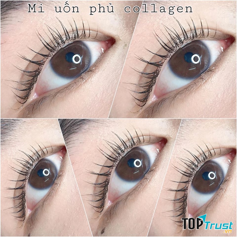 Tuyet Beauty Lashes