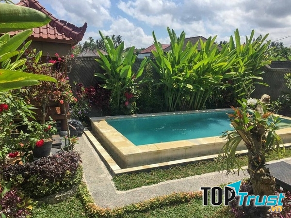 Những căn nhà ở đây luôn hòa cùng thiên nhiên xanh mát