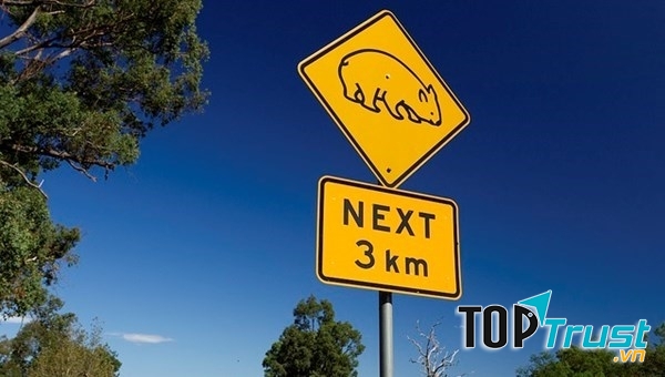 Tỉ lệ xe ô tô ở Úc hiện tại khoảng 556 xe trên 1000 người