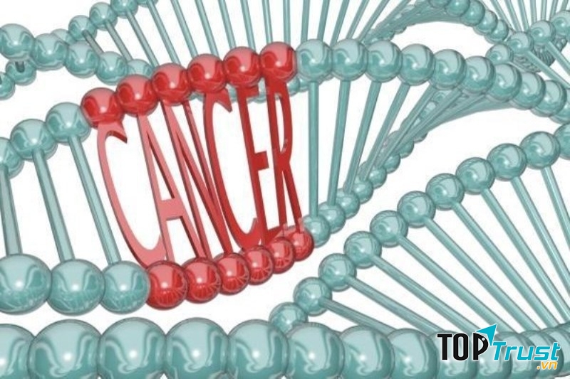 Ảnh minh họa (Nguồn Internet)