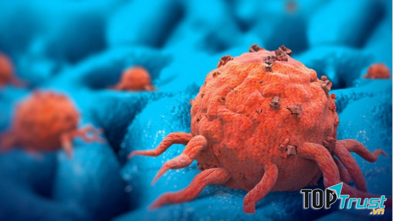 Ảnh minh họa (Nguồn Internet)