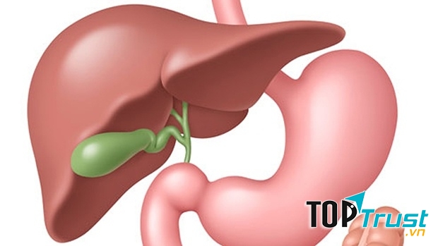 Nếu như phát hiện bệnh trễ thì cơ hội chữa bệnh rất thấp