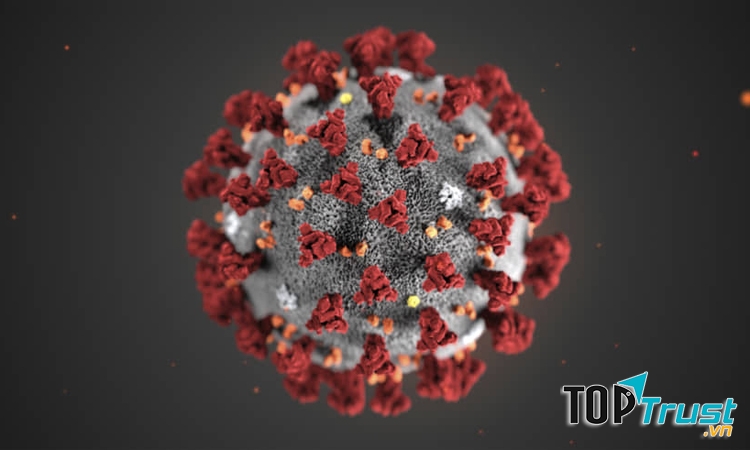 Y học thế giới chưa phát minh ra bất kỳ loại thuốc hoặc vaccine nào có thể giúp bạn điều trị và phòng ngừa Virus Corona (Ảnh minh họa)