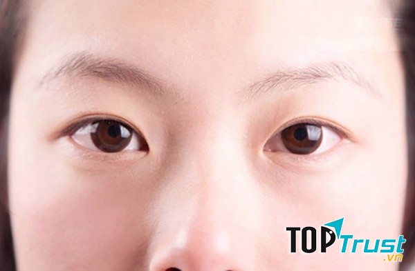 Ảnh minh họa - nguồn internet