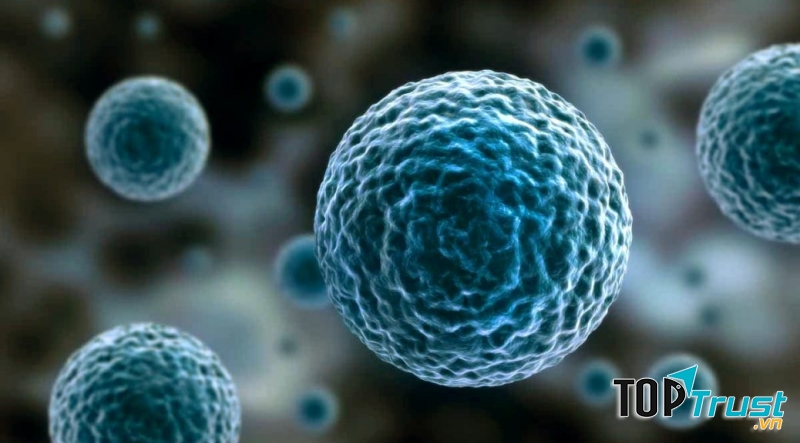 Ảnh minh họa - nguồn internet