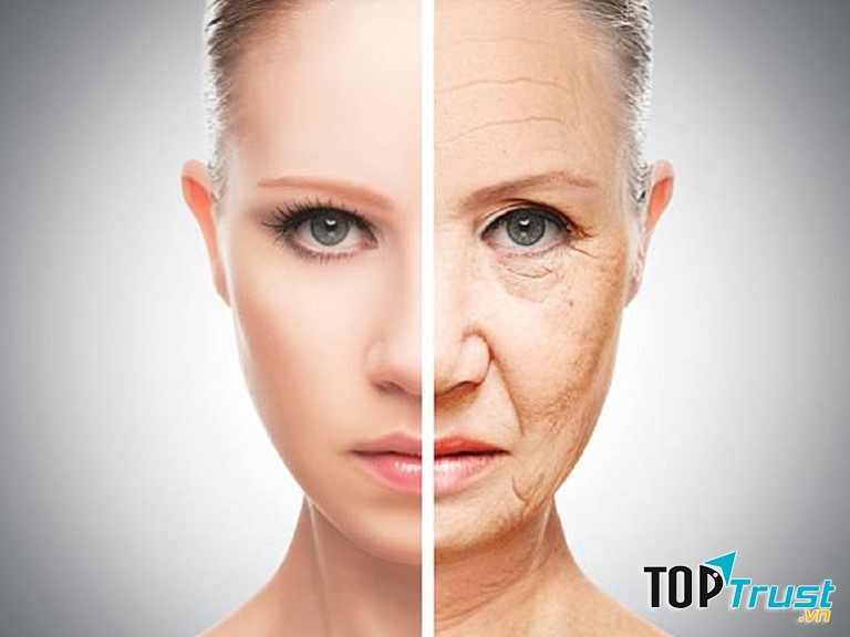 Uống sữa đậu nành giúp chống lão hóa