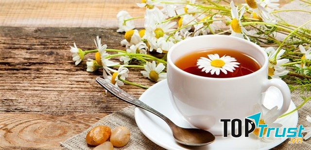 Uống trà hoa cúc