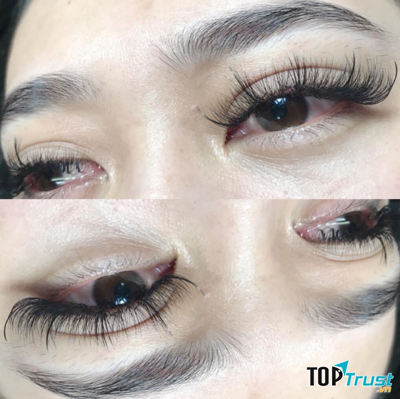 Uyên Nhật Nối Mi