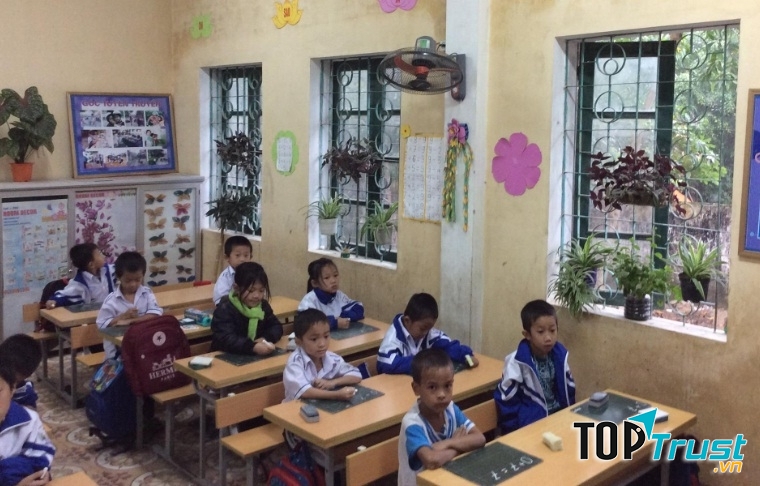 Ảnh minh họa (Nguồn internet)