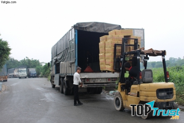 Vận tải Trần Vinh