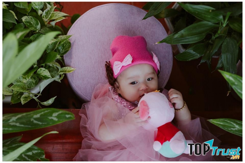 Vân Thế Trình Studio.