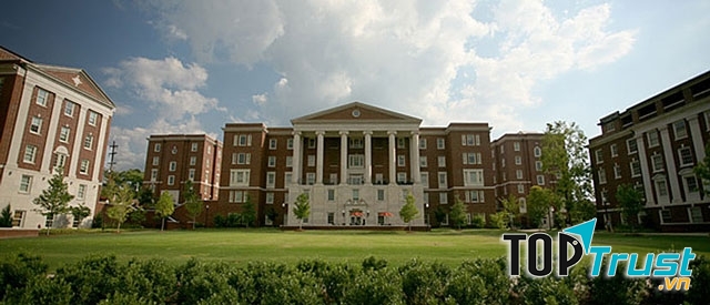 Chương trình lớn nhất tại Vanderbilt University là khoa học xã hội, trong đó phổ biến và nổi bật được nhiều du học sinh quan tâm là ngành tâm lý học