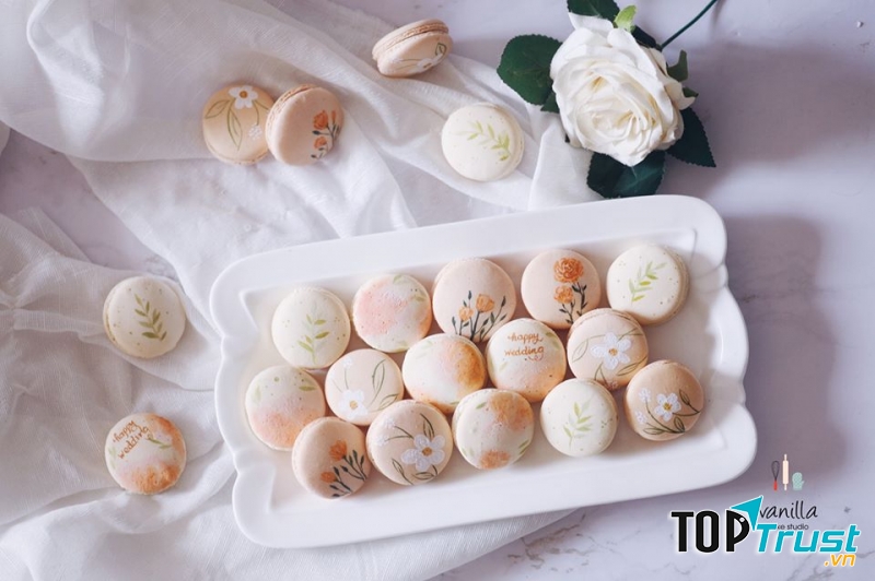 Vanilla - Cake Studio