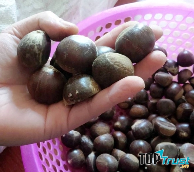 Những vật dụng sắc tối thường mang điềm gở