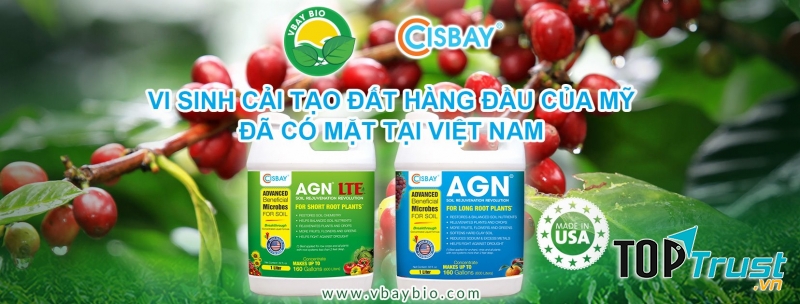 Công ty Cổ phần thương mại xuất nhập khẩu Vbay Bio