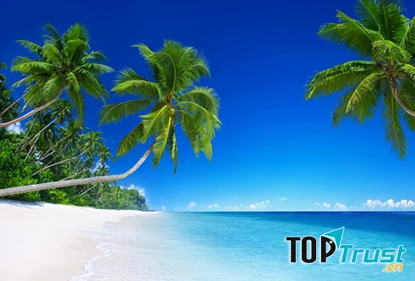 Tặng vé máy bay du lịch chính là món quà đầy ý nghĩa cho bố mẹ vào dịp Tết