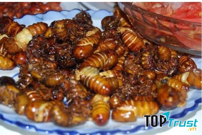 Món nhộng ve sầu