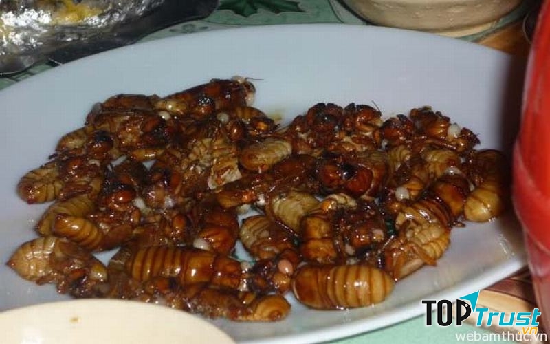 Ve sầu sữa chiên giòn