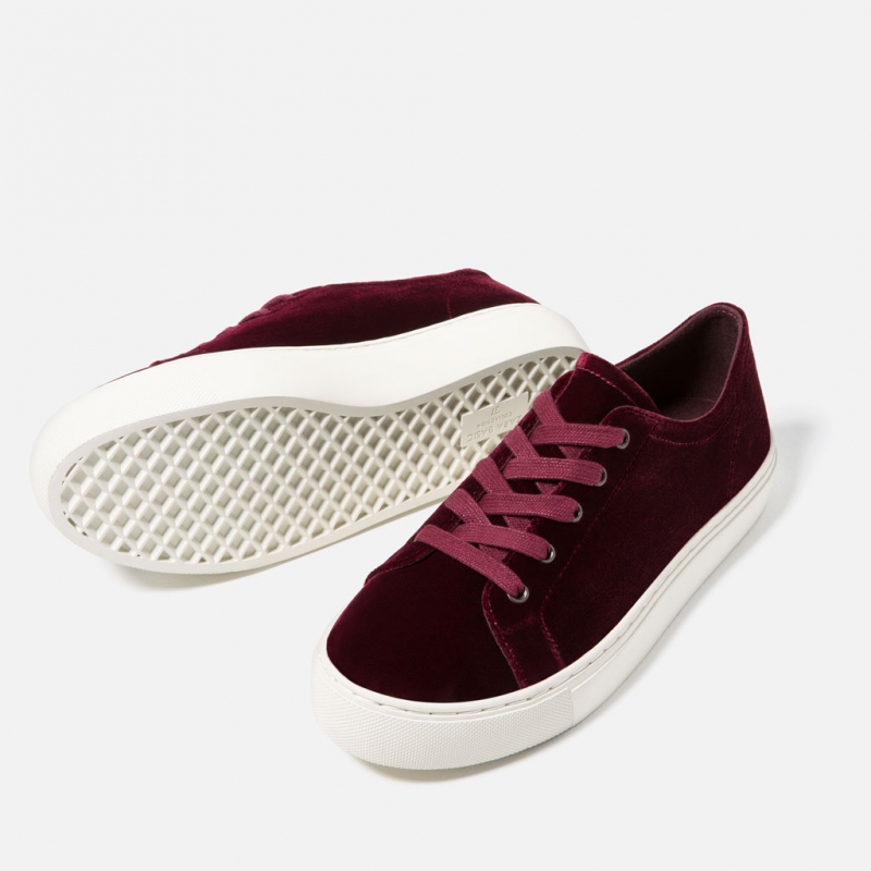 Velvet Sneakers của Zara (Nguồn: Sưu tầm)