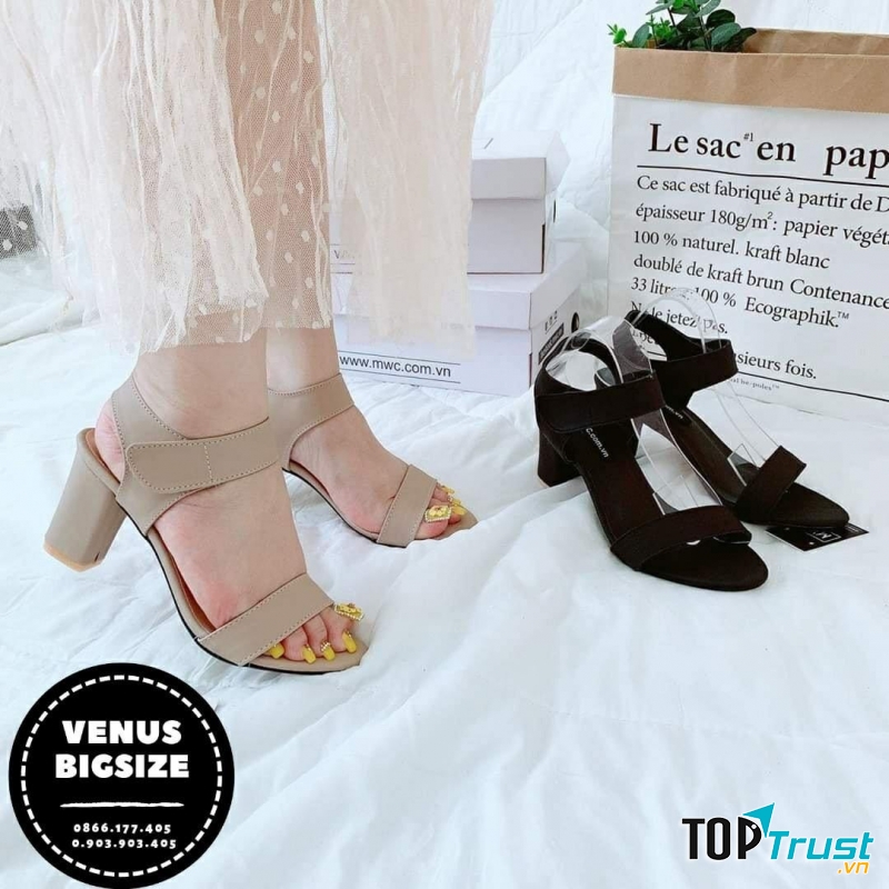 Venus BigSize Fashion