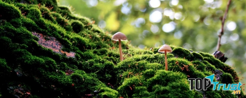 Tận hưởng một buổi sáng trong veo