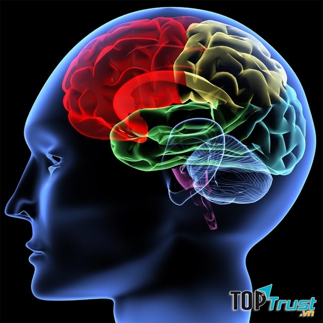 Viêm não Nhật Bản