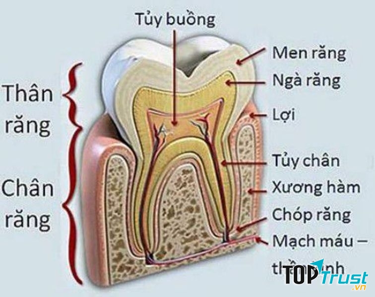 Ảnh minh họa (Nguồn Internet)