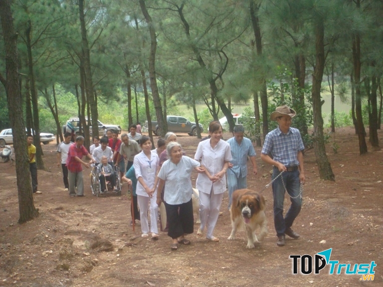 Đi dạo trên đồi thông