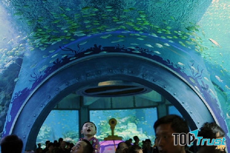 Tham quan Viện Hải Dương Học Nha Trang