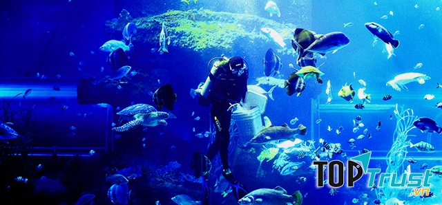 Viện Hải dương học Nha Trang