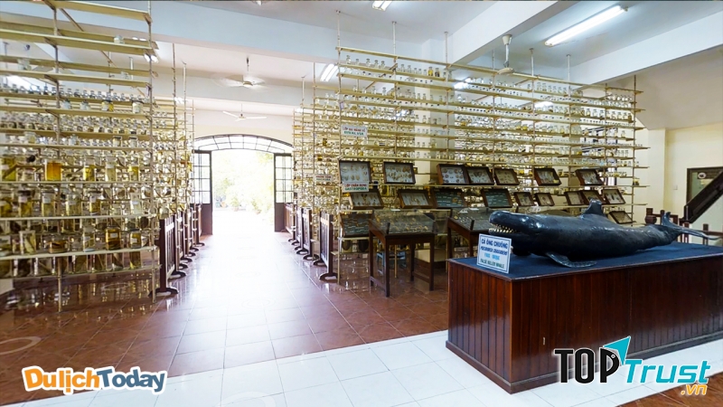 Viện Hải dương học