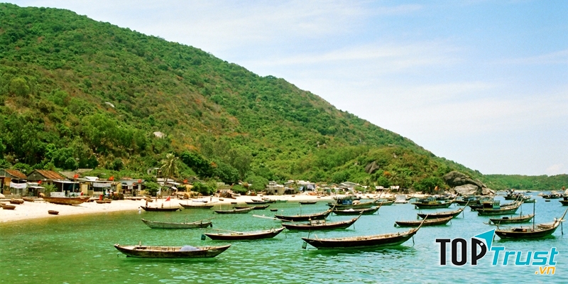 Bao quanh là cây, màu xanh ngắt tạo nên vẻ đẹp thiên nhiên thân thiện, gần gũi của Cù Lao Chàm