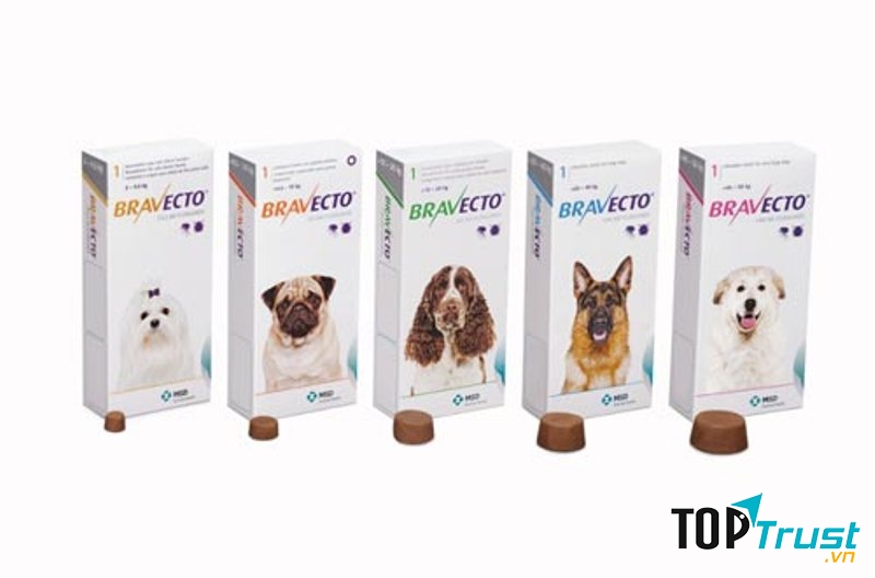 Thuốc Bravecto – dạng viên nhai