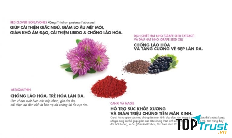 Viên Uống Chống Lão Hóa Estriona (Menopause)