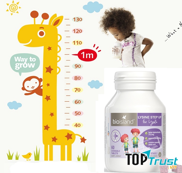 Bioland Lysine Step Up For Young hỗ trợ một loạt những chức năng cơ thể trong giai đoạn tăng trưởng và phát triển khi có canxi, protein và năng lượng có lợi