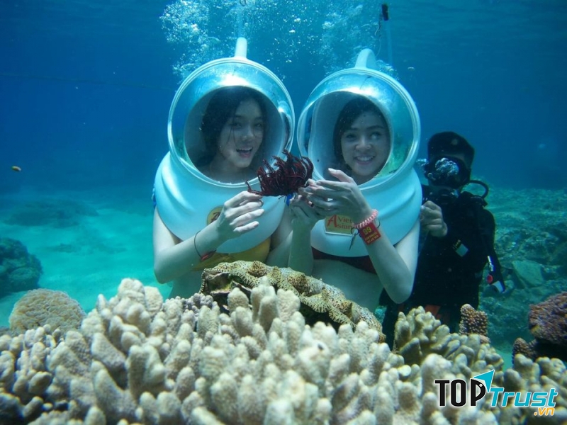 Việt Asian Nha Trang