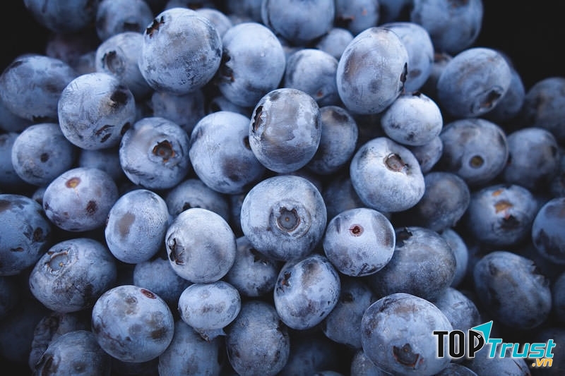 Quả việt quất giàu chất chống oxy hóa, giúp giảm nguy cơ bị bệnh tim mạch