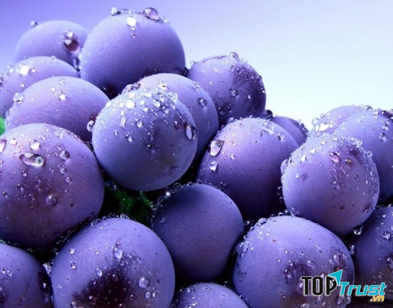 Việt quất chứa chất chống oxy hóa tốt cho não bộ, ngăn ngừa tình trạng suy giảm trí nhớ