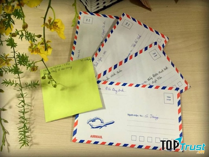 Viết thư chúc mừng bạn nhân dịp năm mới