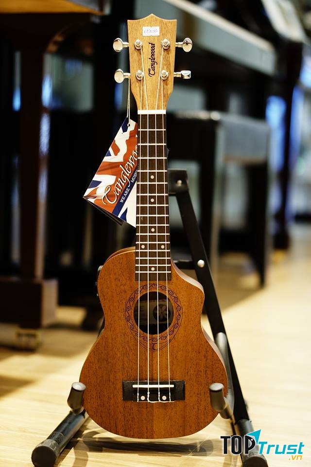 Việt Thương Music