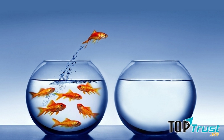 Viết về những gì bạn không biết